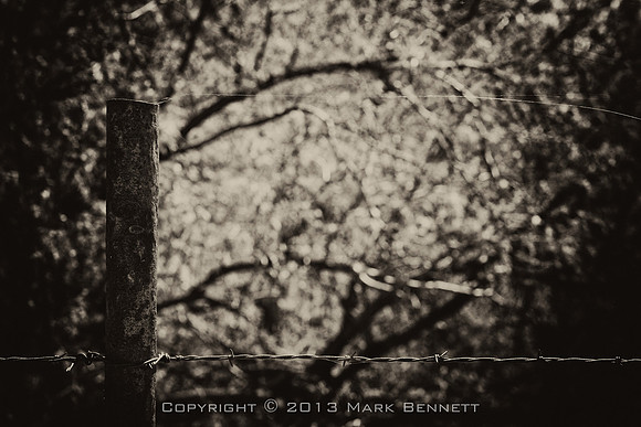 western fence 068