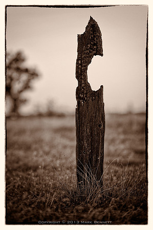 western fence 021