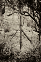 western fence 121