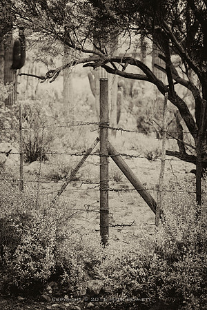 western fence 121