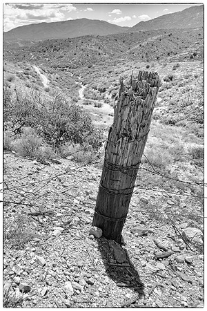 western fence 059