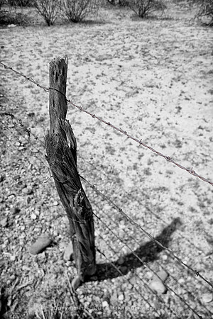 western fence 038