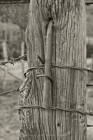 western fence 107