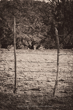 western fence 093