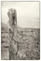 western fence 133