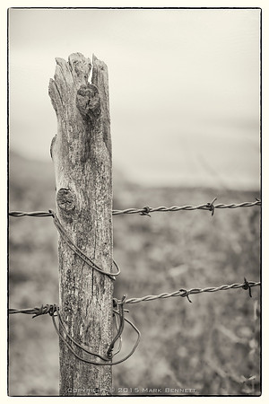 western fence 133