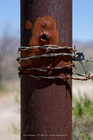 western fence 137
