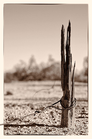 western fence 012