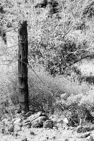 western fence 054