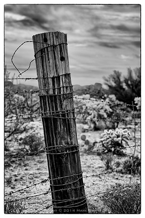 western fence 071