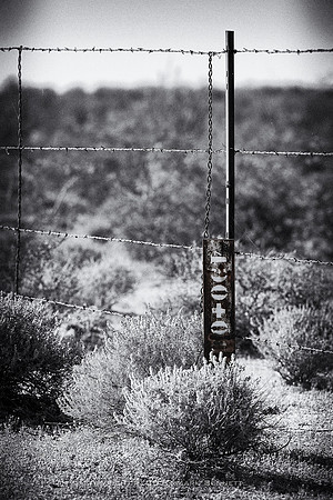 western fence 013