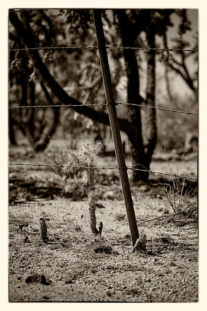 western fence 078
