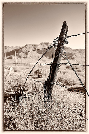 western fence 001