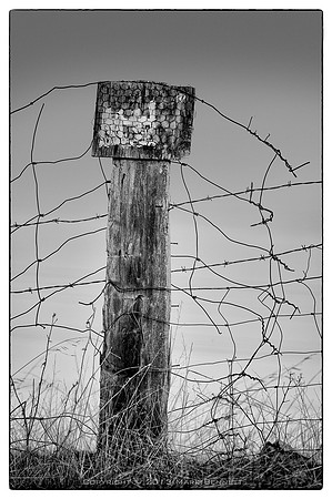 western fence 020