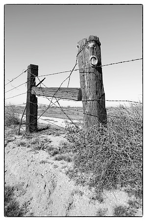 western fence 099