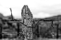 western fence 132