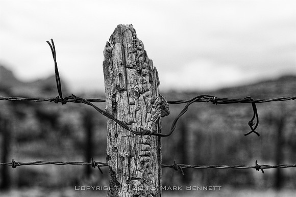 western fence 132