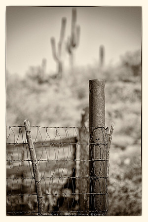 western fence 051