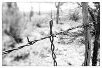 western fence 118