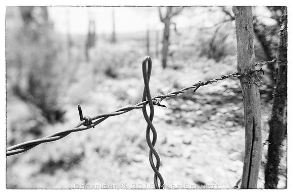 western fence 118