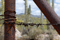 western fence 124
