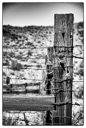 western fence 053