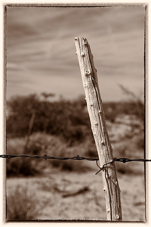 western fence 026
