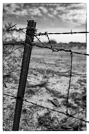 western fence 076