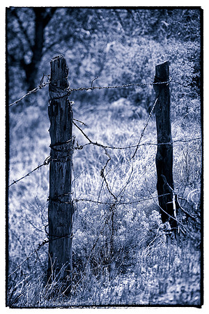 western fence 029