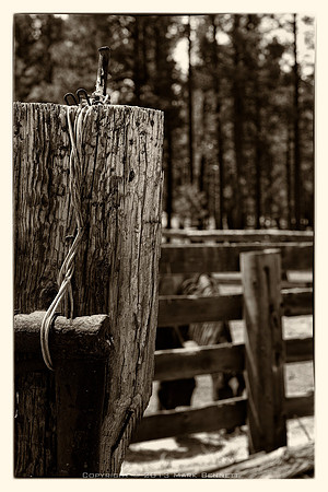 western fence 047