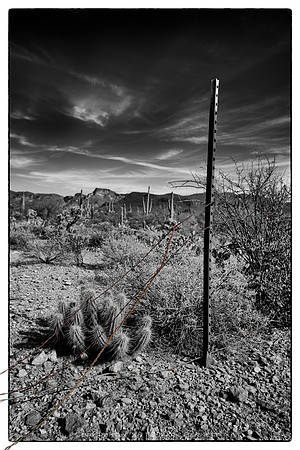 western fence 070