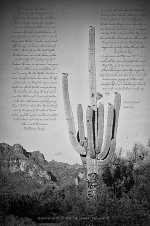 sentinel 050 saguaro story