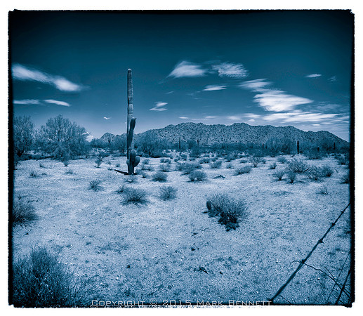 sentinel 078 saguaro