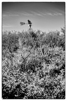 sentinel 062 windmill