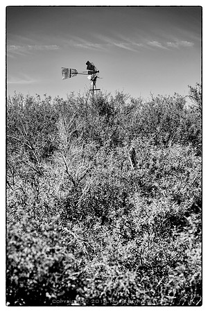 sentinel 062 windmill