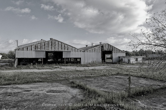 Cedar Grove US98 20141020 01xg