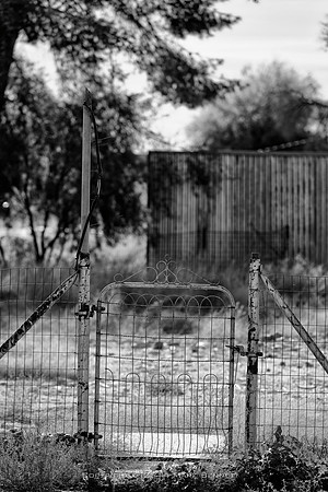 fenced plot Florence 20141207 04xg