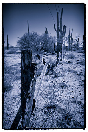 79 @ Cactus Forest Rd 20131005 19xgs