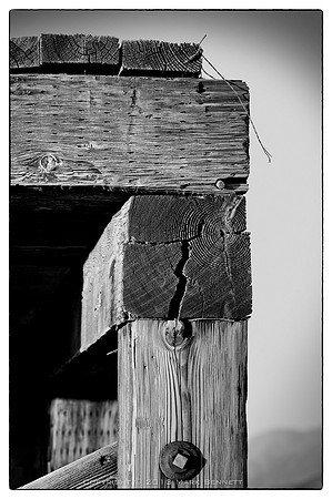 ghost town woods 20131008 05xgs
