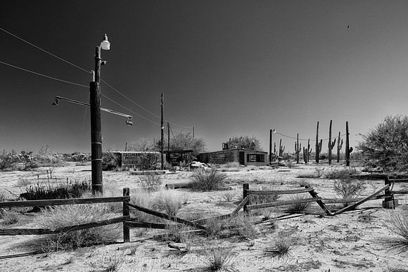 79 @ Cactus Forest Rd 20131005 06xgs