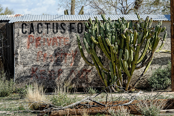 cactus for Private 20140201 01x