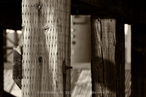 ghost town woods 20131008 01xgs