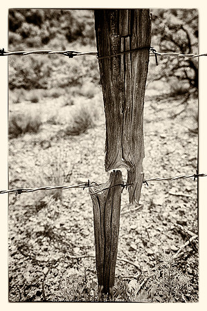western fence 004