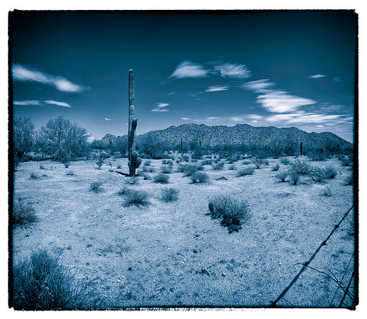 sentinel 078 saguaro 3k