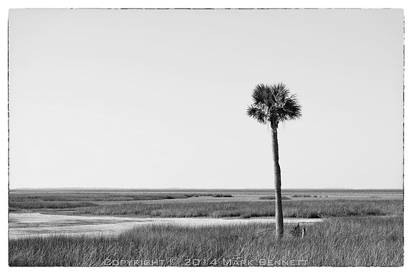 sentinel 060 palm